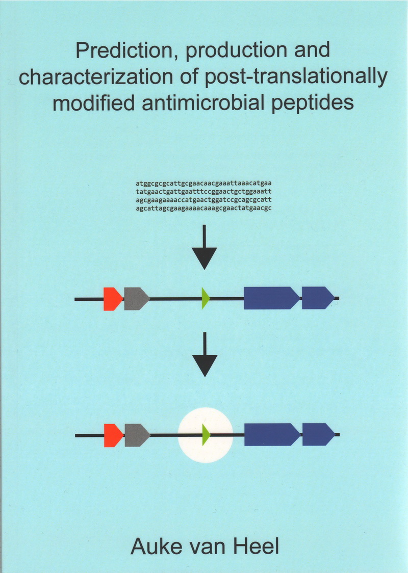 Antimicrobial property thesis